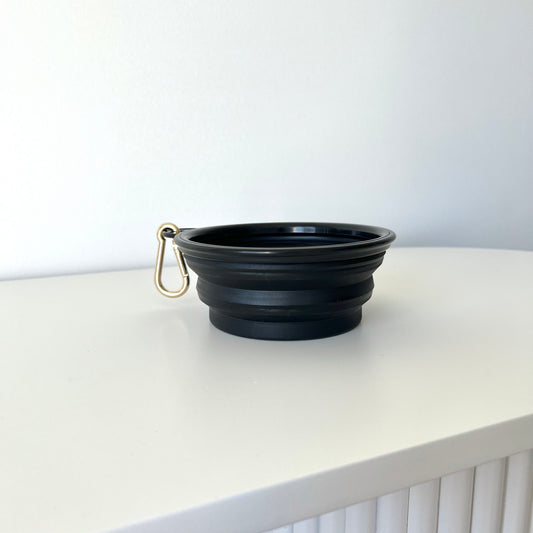 Collapsible Dog Bowl