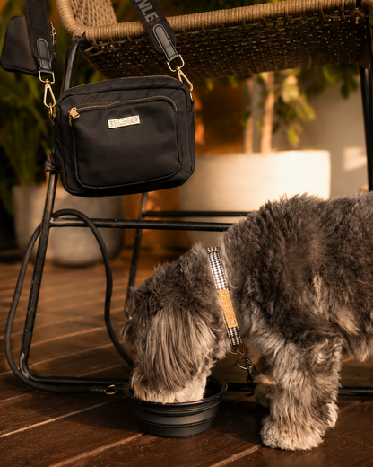Woman pouring water from the Onleash Water Bottle into the Travel Bowl for her dog